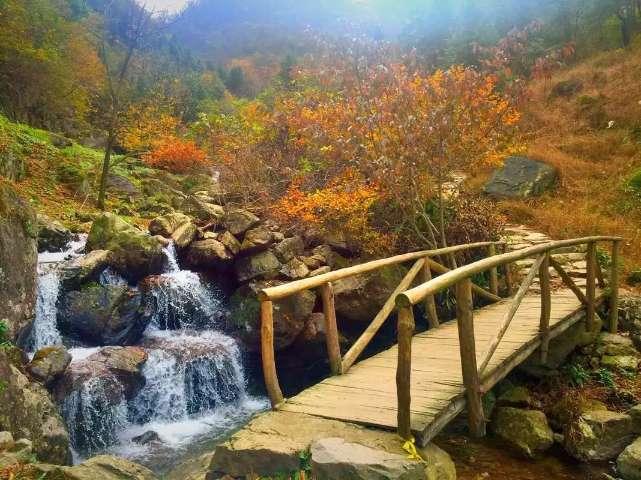 草莓怎么清洗才能吃-有问必答平台,回答你所有的问题
